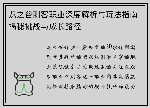 龙之谷刺客职业深度解析与玩法指南揭秘挑战与成长路径